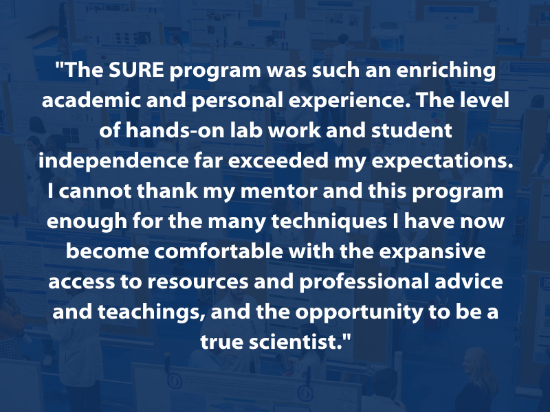 "The SURE program was such an enriching academic and personal experience. The level of hands-on lab work and student independence far exceeded my expectations. I cannot thank my mentor and this program enough for the many techniques I have now become comfortable with the expansive access to resources and professional advice and teachings, and the opportunity to be a true scientist."
